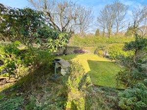 Rear Garden- click for photo gallery